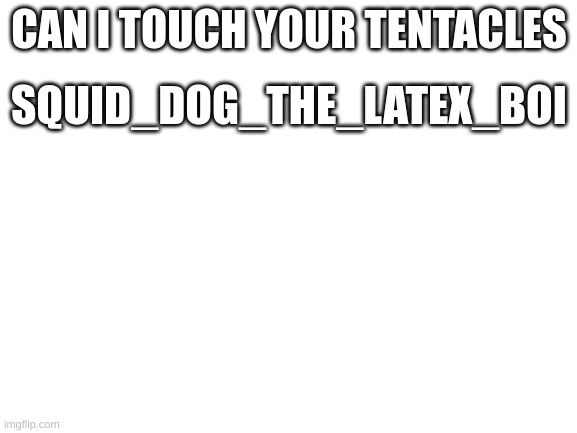 Blank White Template | SQUID_DOG_THE_LATEX_BOI; CAN I TOUCH YOUR TENTACLES | image tagged in blank white template | made w/ Imgflip meme maker