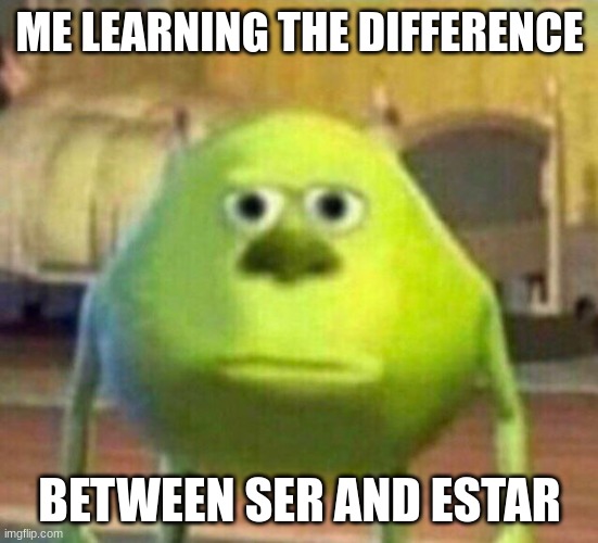 me staring at my class in spanish | ME LEARNING THE DIFFERENCE; BETWEEN SER AND ESTAR | image tagged in me staring at my class in spanish | made w/ Imgflip meme maker