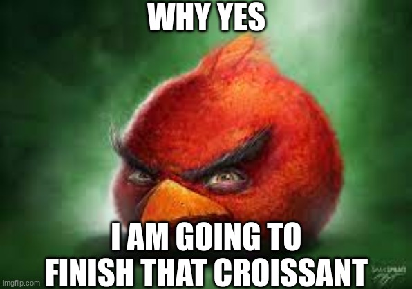 Realistic Red Angry Birds |  WHY YES; I AM GOING TO FINISH THAT CROISSANT | image tagged in angry baby,birds,croissant,rick and carl long,yes,one does not simply | made w/ Imgflip meme maker