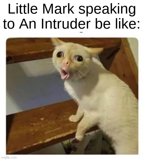 A INTUDER | Little Mark speaking to An Intruder be like: | image tagged in coughing cat | made w/ Imgflip meme maker