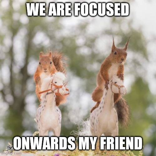 Wild horsez | WE ARE FOCUSED; ONWARDS MY FRIEND | image tagged in wild horsez | made w/ Imgflip meme maker