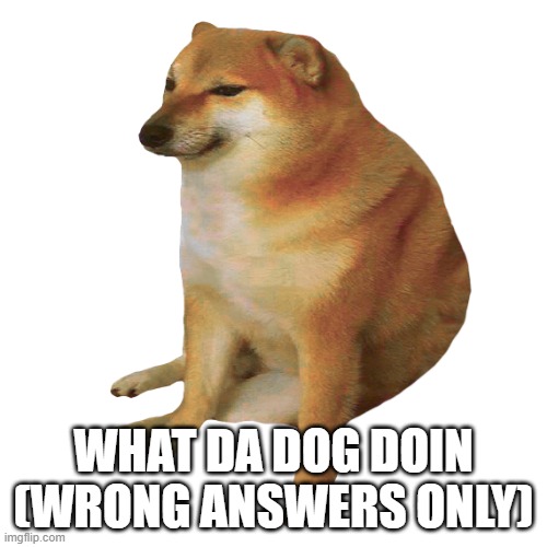what da dog doin |  WHAT DA DOG DOIN
(WRONG ANSWERS ONLY) | image tagged in cheems,what the dog doin | made w/ Imgflip meme maker