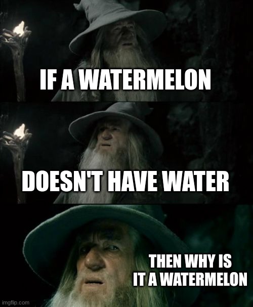 Confused Gandalf Meme | IF A WATERMELON; DOESN'T HAVE WATER; THEN WHY IS IT A WATERMELON | image tagged in memes,confused gandalf | made w/ Imgflip meme maker