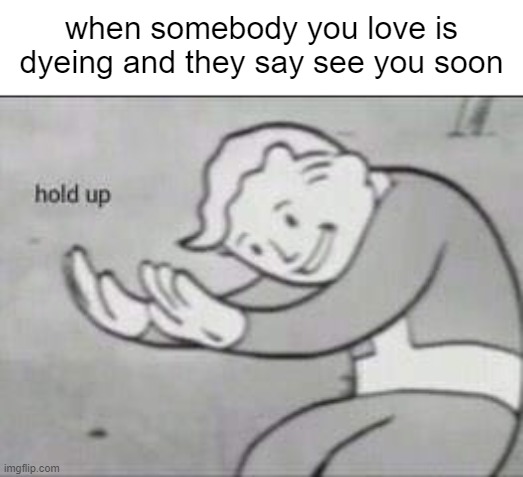 wait what | when somebody you love is dyeing and they say see you soon | image tagged in fallout hold up | made w/ Imgflip meme maker