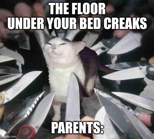 smug cat surrounded by knives | THE FLOOR UNDER YOUR BED CREAKS; PARENTS: | image tagged in smug cat surrounded by knives | made w/ Imgflip meme maker