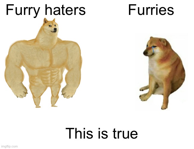 Buff Doge vs. Cheems Meme | Furry haters; Furries; This is true | image tagged in memes,buff doge vs cheems | made w/ Imgflip meme maker