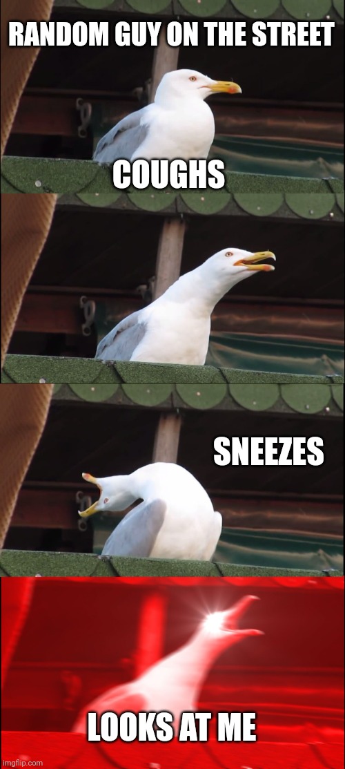Inhaling Seagull | RANDOM GUY ON THE STREET; COUGHS; SNEEZES; LOOKS AT ME | image tagged in memes,inhaling seagull | made w/ Imgflip meme maker