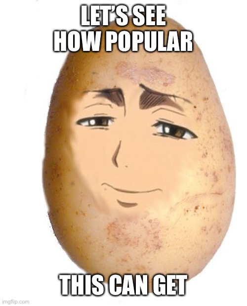Potato |  LET’S SEE HOW POPULAR; THIS CAN GET | image tagged in anime meme,anime,meme,funny,pls,why are you reading this | made w/ Imgflip meme maker