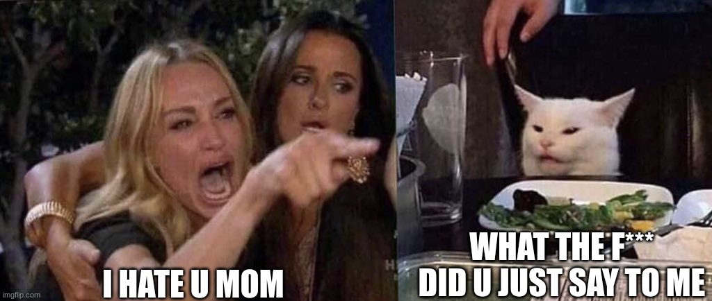 woman yelling at cat | WHAT THE F*** DID U JUST SAY TO ME; I HATE U MOM | image tagged in woman yelling at cat | made w/ Imgflip meme maker