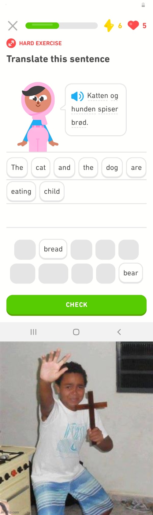 The cat and the dog are eating child | image tagged in the cat and the dog are eating child,scared kid,duolingo | made w/ Imgflip meme maker