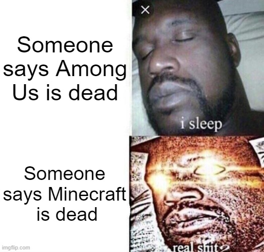 ...no | Someone says Among Us is dead; Someone says Minecraft   is dead | image tagged in i sleep real shit | made w/ Imgflip meme maker