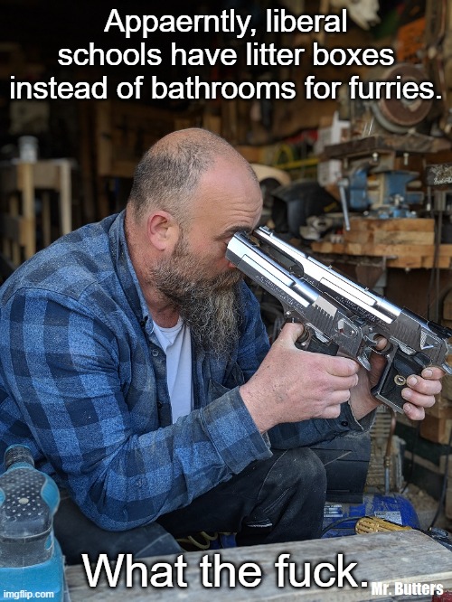 Bro :skull: (apparently*) | Appaerntly, liberal schools have litter boxes instead of bathrooms for furries. What the fuck. | image tagged in kill me now | made w/ Imgflip meme maker