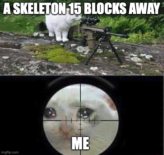 their aim bot is insane | A SKELETON 15 BLOCKS AWAY; ME | image tagged in sniper cat,funny,memes,fun,minecraft | made w/ Imgflip meme maker