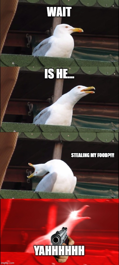 reeee hahahah all good fun | WAIT; IS HE... STEALING MY FOOD?!!! YAHHHHHH | image tagged in memes,inhaling seagull | made w/ Imgflip meme maker