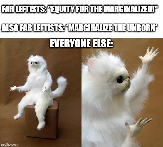 Credit to Representative Burgess Owens for the idea |  FAR LEFTISTS: "EQUITY FOR THE MARGINALIZED!"
 
ALSO FAR LEFTISTS: *MARGINALIZE THE UNBORN*; EVERYONE ELSE: | image tagged in memes,persian cat room guardian,pro life,end abortion,end roe v wade,make murder illegal again | made w/ Imgflip meme maker