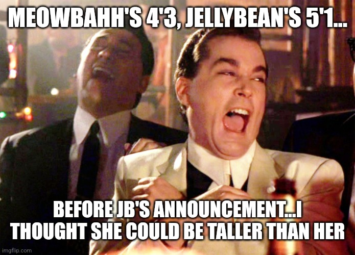 Still JellyBean is better than MeowMid... | MEOWBAHH'S 4'3, JELLYBEAN'S 5'1... BEFORE JB'S ANNOUNCEMENT...I THOUGHT SHE COULD BE TALLER THAN HER | image tagged in memes,good fellas hilarious,jellybean,meowbahh,meowmid,height reveal | made w/ Imgflip meme maker