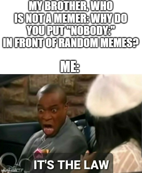 It's the law | MY BROTHER, WHO IS NOT A MEMER: WHY DO YOU PUT "NOBODY:" IN FRONT OF RANDOM MEMES? ME: | image tagged in it's the law | made w/ Imgflip meme maker