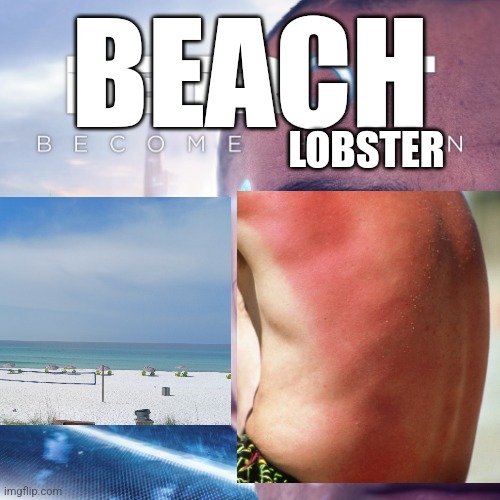 Go to beach as human, come back as lobster |  BEACH; LOBSTER | image tagged in funny,sunburn,beach | made w/ Imgflip meme maker