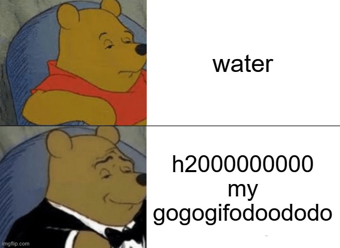 Tuxedo Winnie The Pooh Meme |  water; h2000000000 my gogogifodoododo | image tagged in memes,tuxedo winnie the pooh | made w/ Imgflip meme maker