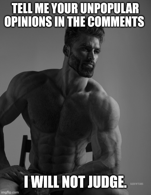 Keep the chat peaceful. | TELL ME YOUR UNPOPULAR OPINIONS IN THE COMMENTS; I WILL NOT JUDGE. | image tagged in giga chad | made w/ Imgflip meme maker