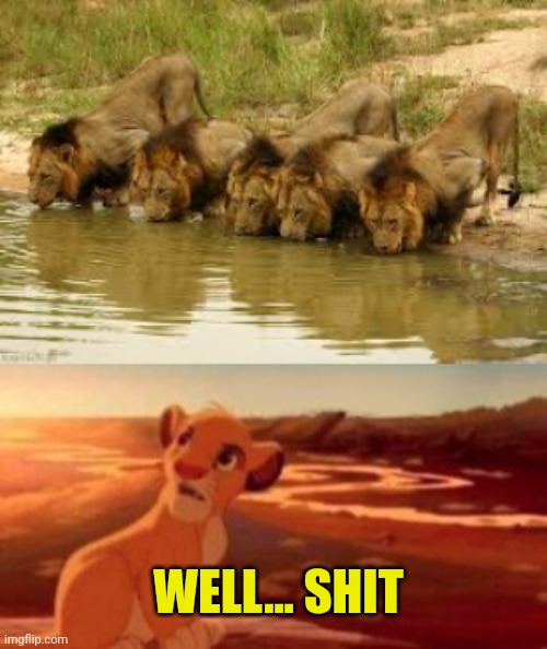 WELL... SHIT | image tagged in simba | made w/ Imgflip meme maker