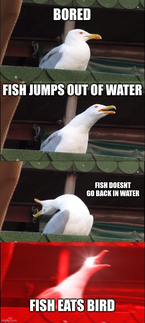 Inhaling Seagull | BORED; FISH JUMPS OUT OF WATER; FISH DOESNT GO BACK IN WATER; FISH EATS BIRD | image tagged in memes,inhaling seagull | made w/ Imgflip meme maker