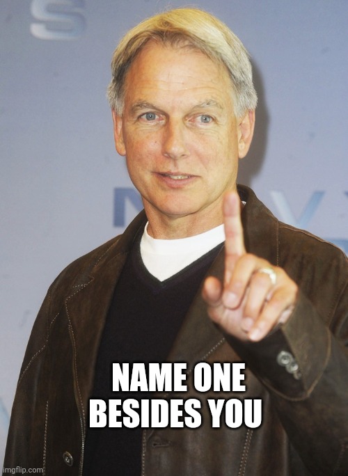 Mark Harmon, one finger up | NAME ONE BESIDES YOU | image tagged in mark harmon one finger up | made w/ Imgflip meme maker