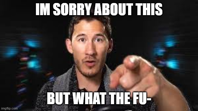 Markiplier pointing | IM SORRY ABOUT THIS BUT WHAT THE FU- | image tagged in markiplier pointing | made w/ Imgflip meme maker