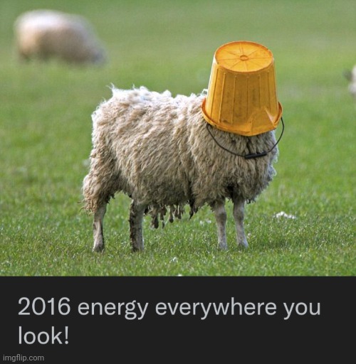 2016 Energy! | image tagged in stupid sheep,mtg,martin shkreli,corruption,regression | made w/ Imgflip meme maker