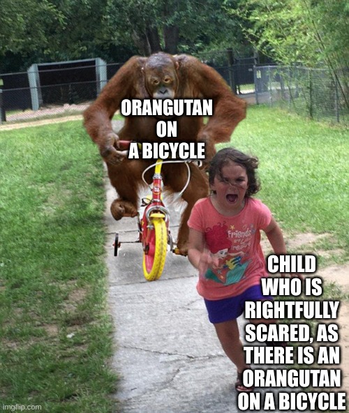 Orangutan on a Bicycle | ORANGUTAN ON A BICYCLE; CHILD WHO IS RIGHTFULLY SCARED, AS THERE IS AN ORANGUTAN ON A BICYCLE | image tagged in monkeys,funny memes,orangutan chasing girl on a tricycle | made w/ Imgflip meme maker