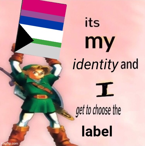 demiromantic bisexual :) | identity; label | image tagged in it's my and i get to choose the | made w/ Imgflip meme maker