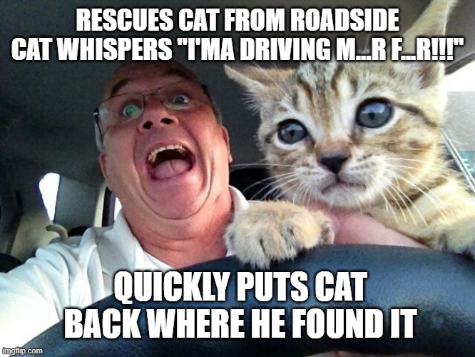 Bad Cat Rescue | RESCUES CAT FROM ROADSIDE
CAT WHISPERS "I'MA DRIVING M...R F...R!!!"; QUICKLY PUTS CAT BACK WHERE HE FOUND IT | image tagged in cat | made w/ Imgflip meme maker