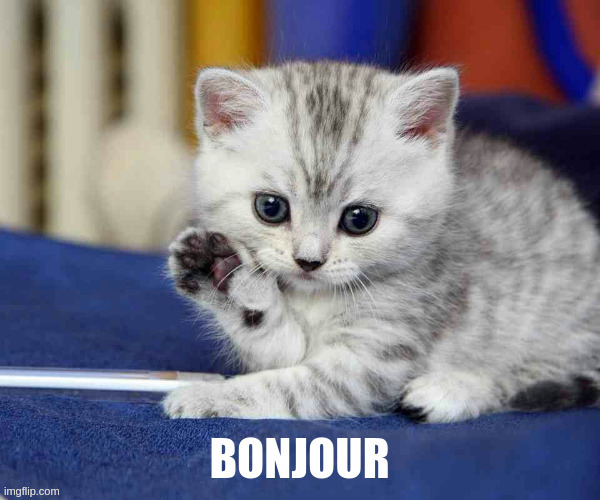 bonjour | image tagged in bonjour | made w/ Imgflip meme maker