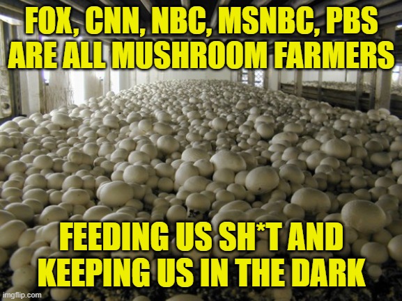 Mushroom Farmers |  FOX, CNN, NBC, MSNBC, PBS
ARE ALL MUSHROOM FARMERS; FEEDING US SH*T AND KEEPING US IN THE DARK | image tagged in misinformation | made w/ Imgflip meme maker