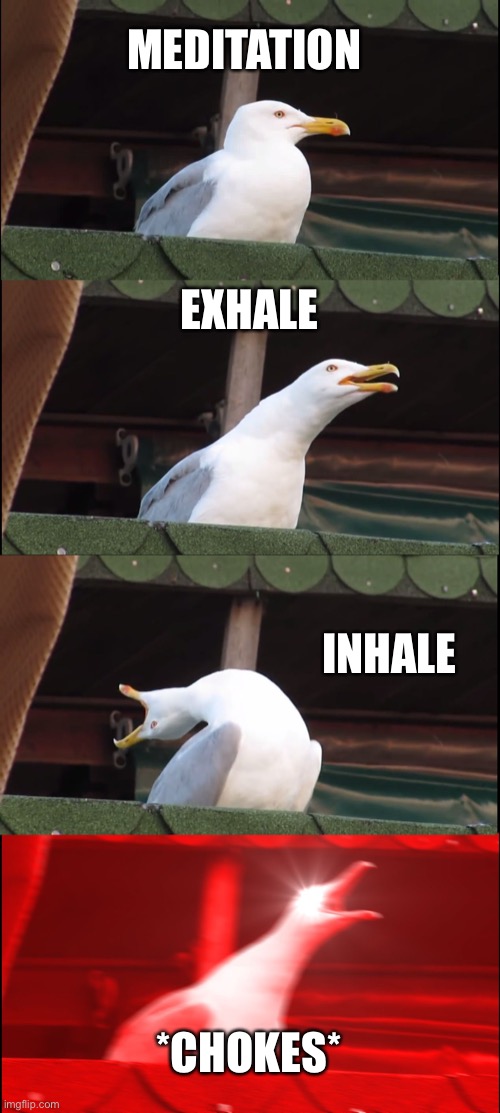 Inhaling Seagull | MEDITATION; EXHALE; INHALE; *CHOKES* | image tagged in memes,inhaling seagull | made w/ Imgflip meme maker