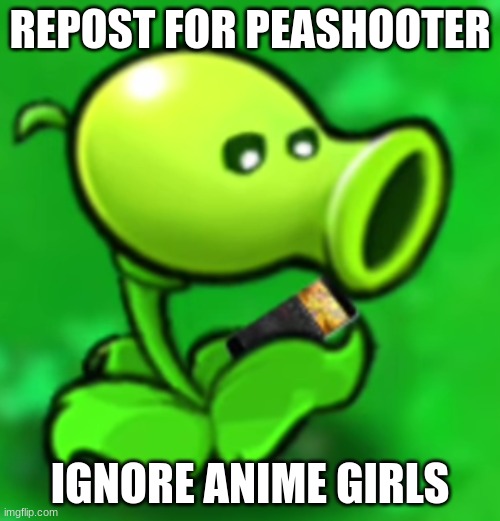 Peashooter looking at his phone | REPOST FOR PEASHOOTER; IGNORE ANIME GIRLS | image tagged in peashooter looking at his phone | made w/ Imgflip meme maker