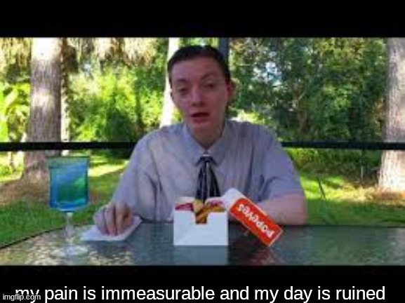 my pain is immeasurable and my day is ruined | my pain is immeasurable and my day is ruined | image tagged in my pain is immeasurable and my day is ruined | made w/ Imgflip meme maker
