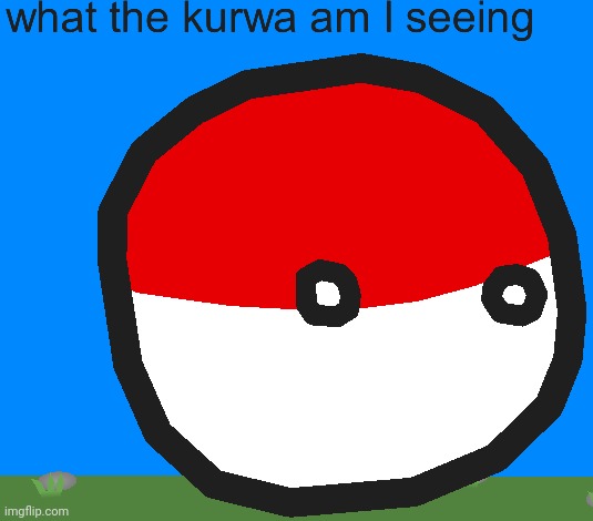 poland just saw japan getting kinky with tentacles | image tagged in what the kurwa am i seeing | made w/ Imgflip meme maker