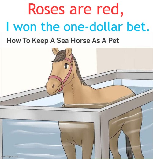 A good ol' WikiHow meme. | Roses are red, I won the one-dollar bet. | image tagged in wikihow,weird | made w/ Imgflip meme maker
