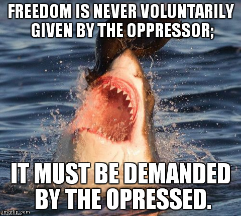 Dr. King Letter to Birmingham Jail quote. | FREEDOM IS NEVER VOLUNTARILY GIVEN BY THE OPPRESSOR; IT MUST BE DEMANDED BY THE OPRESSED. | image tagged in memes,travelonshark | made w/ Imgflip meme maker