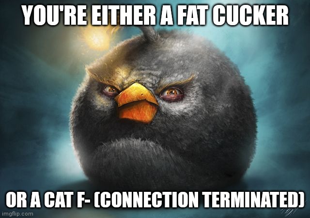 Piss | YOU'RE EITHER A FAT CUCKER; OR A CAT F- (CONNECTION TERMINATED) | image tagged in angry birds bomb | made w/ Imgflip meme maker