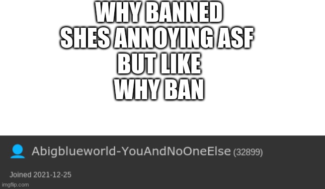 WHY BANNED
SHES ANNOYING ASF 

BUT LIKE
WHY BAN | image tagged in blank white template | made w/ Imgflip meme maker