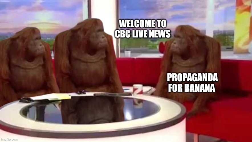 where monkey | WELCOME TO CBC LIVE NEWS; PROPAGANDA FOR BANANA | image tagged in where monkey | made w/ Imgflip meme maker