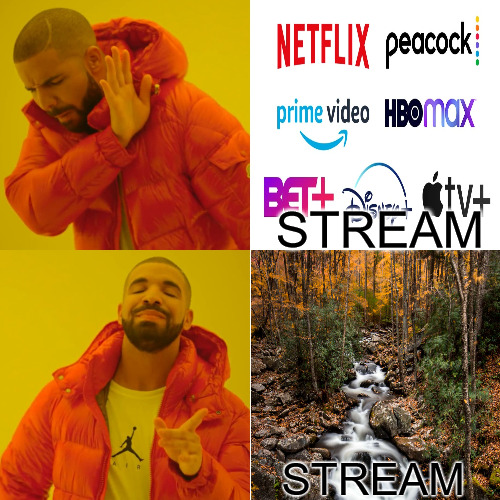 THE REAL ONE | STREAM; STREAM | image tagged in memes,drake hotline bling | made w/ Imgflip meme maker