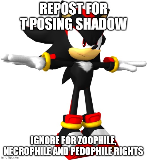 comment for a cup of air | REPOST FOR T POSING SHADOW; IGNORE FOR ZOOPHILE, NECROPHILE AND PEDOPHILE RIGHTS | image tagged in shadow the hedgehog t pose | made w/ Imgflip meme maker