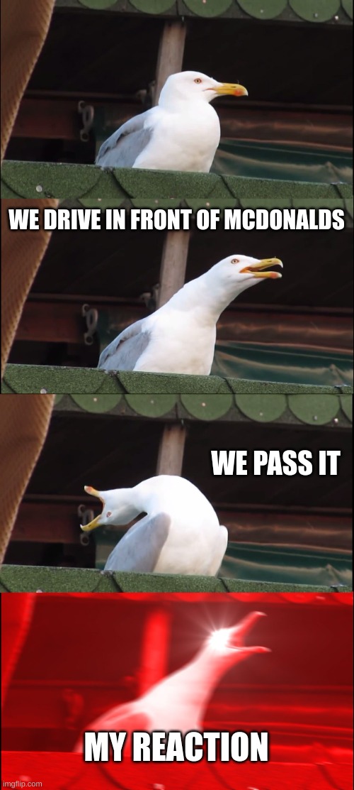 Inhaling Seagull | WE DRIVE IN FRONT OF MCDONALDS; WE PASS IT; MY REACTION | image tagged in memes,inhaling seagull | made w/ Imgflip meme maker