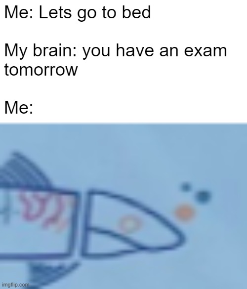 Worried Fish | Me: Lets go to bed
  

My brain: you have an exam
tomorrow
 
Me: | image tagged in worried fish | made w/ Imgflip meme maker