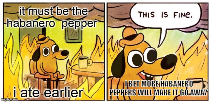 this is fine | it must be the habanero  pepper; I BET MORE HABANERO PEPPERS WILL MAKE IT GO AWAY; i ate earlier | image tagged in memes,this is fine,whys it spicy | made w/ Imgflip meme maker