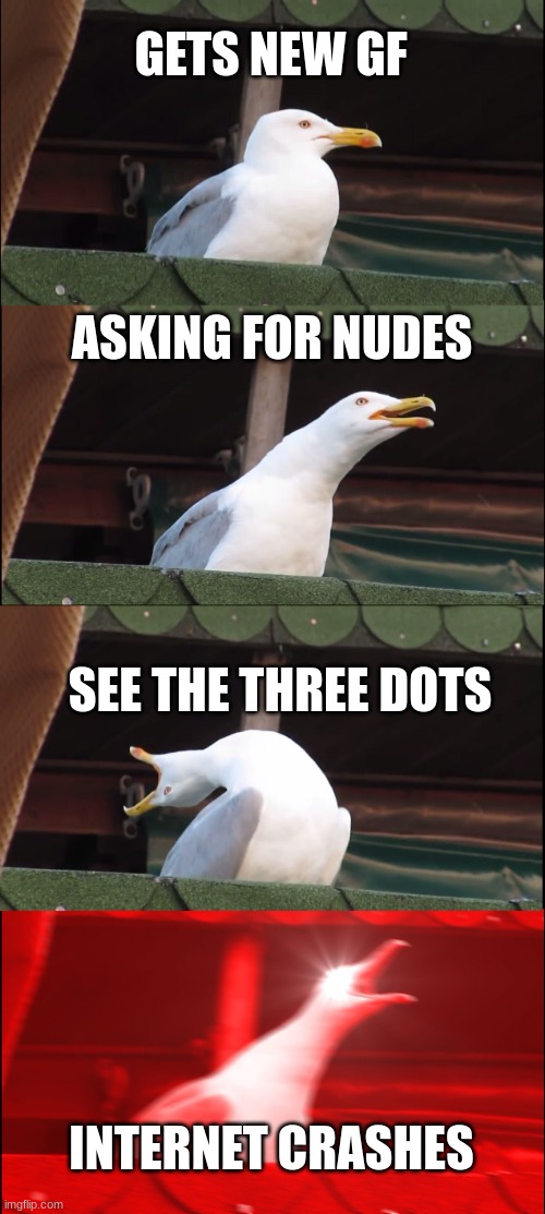 hehe sus | GETS NEW GF; ASKING FOR NUDES; SEE THE THREE DOTS; INTERNET CRASHES | image tagged in memes,inhaling seagull | made w/ Imgflip meme maker