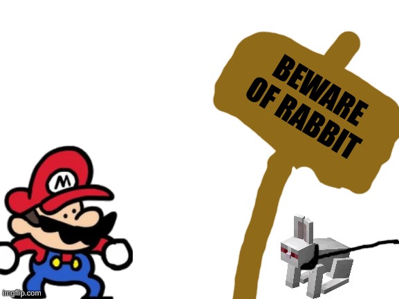 Blank White Template | BEWARE OF RABBIT | image tagged in blank white template | made w/ Imgflip meme maker